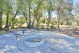 263 Mission Olive - Photo 41