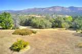 263 Mission Olive - Photo 42