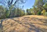 263 Mission Olive - Photo 44