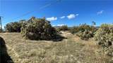 59880 Anzanita - Photo 8