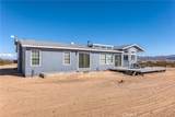 2575 Mcgarry - Photo 12