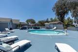 18218 Paradise Mountain - Photo 57