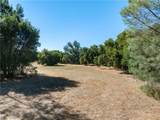 9107 Horseshoe Canyon Road - Photo 10