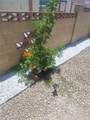 228 La Paloma Avenue - Photo 5