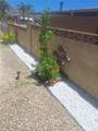 228 La Paloma Avenue - Photo 6
