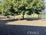 609 Miller - Photo 9