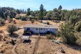 3877 Brodiea - Photo 5