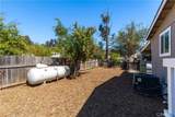 4621 Blue Lupine - Photo 28