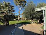1010 Palm Canyon - Photo 5
