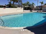 3340 Del Sol - Photo 6
