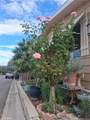 20683 Waalew B37 - Photo 2