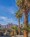 1010 Palm Canyon - Photo 18