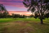 30 Arboles - Photo 14