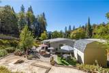39737 Road 274 - Photo 4