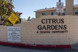 1626 Wisteria Gln - Photo 41