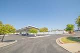 29090 Camino Alba - Photo 37