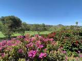 6780 Mission Gorge Rd - Photo 35