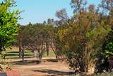13046 Paseo Del Verano - Photo 30