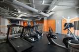 702 Ash St. - Photo 22