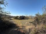 12494 Buena Vida Rd - Photo 12