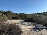 12494 Buena Vida Rd - Photo 15