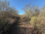 12494 Buena Vida Rd - Photo 9