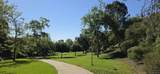 8995 Via Andar - Photo 16