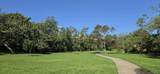 8995 Via Andar - Photo 18