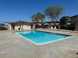 9848 Buena Vista - Photo 8