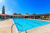 16657 Roca Dr - Photo 55