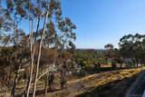 11037 Caminito Vista Pacifica - Photo 46