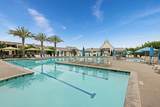 2028 Avenida Andanza - Photo 42