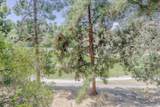 7835 Cowles Mountain Ct - Photo 49