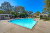 13635 Comuna Dr - Photo 38