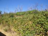 0 Meadow - Photo 6