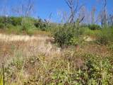 0 Meadow - Photo 4