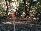 0 Chillion - Photo 5