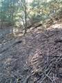 0 Chillion - Photo 6