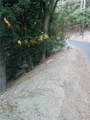 0 Chillion - Photo 9