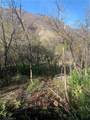 0 Four Trees Road - Photo 6