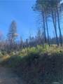 0 Four Trees Road - Photo 7