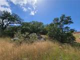 0 Lions Lair - Photo 11