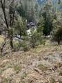 818 Berne - Photo 3