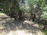 586 Silver Leaf - Photo 4