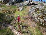 123 Quartz Mountain - Photo 4