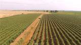 0 Cottonwood - Photo 7