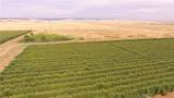 0 Cottonwood - Photo 8