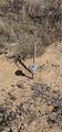 0 31st Street West/Shannon Valley - Photo 2