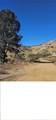 0 31st Street West/Shannon Valley - Photo 3