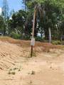52830 Pine - Photo 4